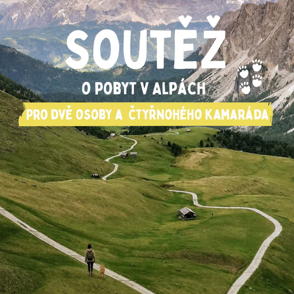 Soutěž DOGG